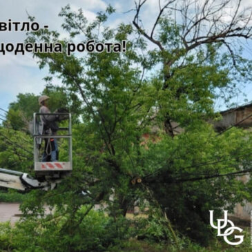 Пошкоджені кріплення та провислі проводи — після проходження грозового фронту в Миколаєві дерево пошкодило повітряну лінію
