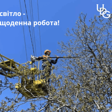 Триває розчистка охоронних зон повітряних ліній — це зменшує ризики аварійних ситуацій, особливо під час негоди